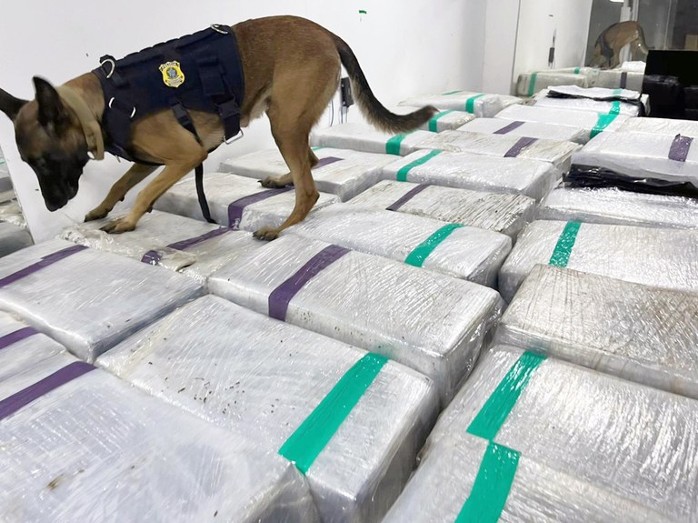 PRF apreendeu três toneladas de maconha na Dutra