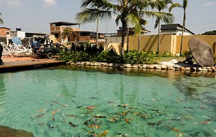 DOCUMENTOS CONFIRMAM QUE TRAFICANTES TERIAM PEDIDO AJUDA A POLÍTICOS PARA TRANSFORMAR “RESORT DO PEIXÃO” EM CENTRO SOCIAL E EVITAR DEMOLIÇÃO